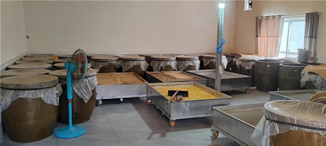 从彝山到舌尖：彝州谷语，楚雄白酒的生态匠心密码